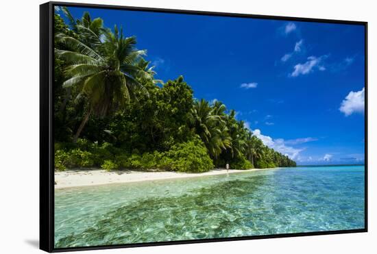 White Sand Beach in Turquoise Water in the Ant Atoll, Pohnpei, Micronesia-Michael Runkel-Framed Stretched Canvas