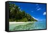 White Sand Beach in Turquoise Water in the Ant Atoll, Pohnpei, Micronesia-Michael Runkel-Framed Stretched Canvas