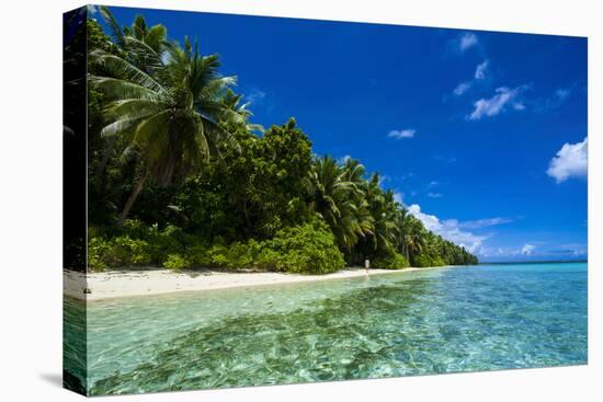 White Sand Beach in Turquoise Water in the Ant Atoll, Pohnpei, Micronesia-Michael Runkel-Stretched Canvas