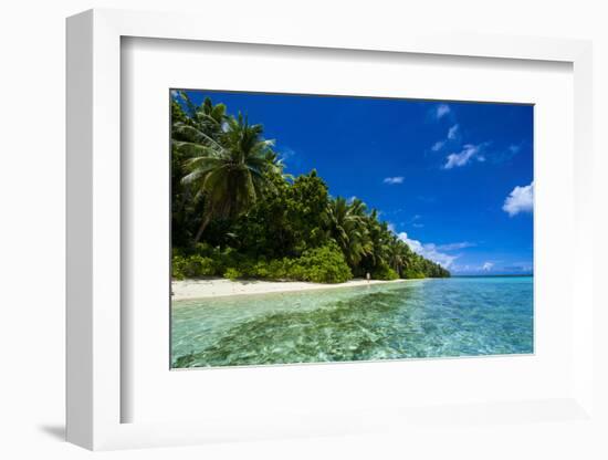 White Sand Beach in Turquoise Water in the Ant Atoll, Pohnpei, Micronesia-Michael Runkel-Framed Photographic Print