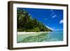 White Sand Beach in Turquoise Water in the Ant Atoll, Pohnpei, Micronesia-Michael Runkel-Framed Photographic Print