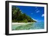 White Sand Beach in Turquoise Water in the Ant Atoll, Pohnpei, Micronesia-Michael Runkel-Framed Photographic Print