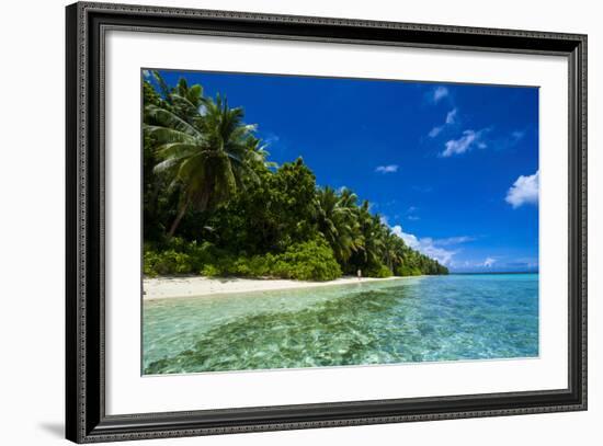 White Sand Beach in Turquoise Water in the Ant Atoll, Pohnpei, Micronesia-Michael Runkel-Framed Photographic Print