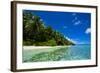 White Sand Beach in Turquoise Water in the Ant Atoll, Pohnpei, Micronesia-Michael Runkel-Framed Photographic Print