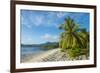 White sand beach, Kosrae, Federated States of Micronesia, South Pacific-Michael Runkel-Framed Photographic Print