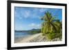 White sand beach, Kosrae, Federated States of Micronesia, South Pacific-Michael Runkel-Framed Photographic Print