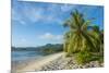 White sand beach, Kosrae, Federated States of Micronesia, South Pacific-Michael Runkel-Mounted Photographic Print