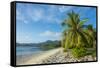 White sand beach, Kosrae, Federated States of Micronesia, South Pacific-Michael Runkel-Framed Stretched Canvas