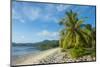 White sand beach, Kosrae, Federated States of Micronesia, South Pacific-Michael Runkel-Mounted Photographic Print