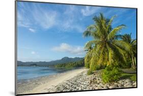 White sand beach, Kosrae, Federated States of Micronesia, South Pacific-Michael Runkel-Mounted Photographic Print