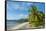 White sand beach, Kosrae, Federated States of Micronesia, South Pacific-Michael Runkel-Framed Stretched Canvas