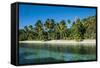 White Sand Beach, Nanuya Lailai Island, Blue Lagoon, Yasawa, Fiji, South Pacific-Michael Runkel-Framed Stretched Canvas