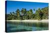 White Sand Beach, Nanuya Lailai Island, Blue Lagoon, Yasawa, Fiji, South Pacific-Michael Runkel-Stretched Canvas
