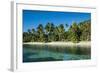 White Sand Beach, Nanuya Lailai Island, Blue Lagoon, Yasawa, Fiji, South Pacific-Michael Runkel-Framed Photographic Print