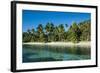 White Sand Beach, Nanuya Lailai Island, Blue Lagoon, Yasawa, Fiji, South Pacific-Michael Runkel-Framed Photographic Print