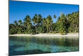 White Sand Beach, Nanuya Lailai Island, Blue Lagoon, Yasawa, Fiji, South Pacific-Michael Runkel-Mounted Photographic Print