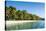 White Sand Beach, Nanuya Lailai Island, the Blue Lagoon, Yasawa, Fiji, South Pacific-Michael Runkel-Stretched Canvas