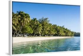 White Sand Beach, Nanuya Lailai Island, the Blue Lagoon, Yasawa, Fiji, South Pacific-Michael Runkel-Framed Photographic Print