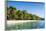 White Sand Beach, Nanuya Lailai Island, the Blue Lagoon, Yasawa, Fiji, South Pacific-Michael Runkel-Framed Photographic Print