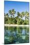 White Sand Beach, Nanuya Lailai Island, the Blue Lagoon, Yasawas, Fiji, South Pacific, Pacific-Michael Runkel-Mounted Photographic Print