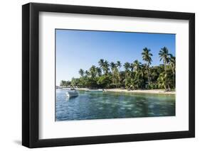 White Sand Beach, Nanuya Lailai Island, the Blue Lagoon, Yasawas, Fiji, South Pacific, Pacific-Michael Runkel-Framed Photographic Print