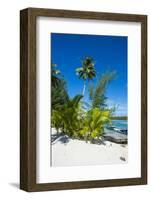 White sand beach on a Motu, Bora Bora, Society Islands, French Polynesia, Pacific-Michael Runkel-Framed Photographic Print