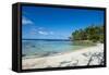 White sand beach on the north coast of Efate, Vanuatu, Pacific-Michael Runkel-Framed Stretched Canvas