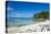 White sand beach on the north coast of Efate, Vanuatu, Pacific-Michael Runkel-Stretched Canvas