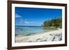 White sand beach on the north coast of Efate, Vanuatu, Pacific-Michael Runkel-Framed Photographic Print