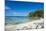 White sand beach on the north coast of Efate, Vanuatu, Pacific-Michael Runkel-Mounted Photographic Print