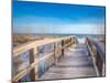 White Sand Beach Pensacola Boardwalk-Joshua Whitcomb-Mounted Photographic Print
