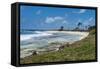 White sand beach, San Andres, Caribbean Sea, Colombia, South America-Michael Runkel-Framed Stretched Canvas