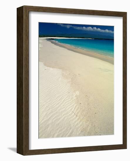 White Sand Beach, San Cristobal Island, Galapagos Islands, Ecuador-Jack Stein Grove-Framed Photographic Print