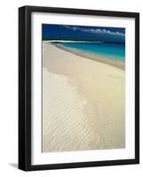 White Sand Beach, San Cristobal Island, Galapagos Islands, Ecuador-Jack Stein Grove-Framed Photographic Print