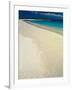 White Sand Beach, San Cristobal Island, Galapagos Islands, Ecuador-Jack Stein Grove-Framed Photographic Print