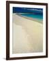 White Sand Beach, San Cristobal Island, Galapagos Islands, Ecuador-Jack Stein Grove-Framed Photographic Print