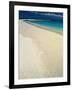 White Sand Beach, San Cristobal Island, Galapagos Islands, Ecuador-Jack Stein Grove-Framed Photographic Print