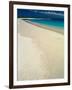 White Sand Beach, San Cristobal Island, Galapagos Islands, Ecuador-Jack Stein Grove-Framed Photographic Print