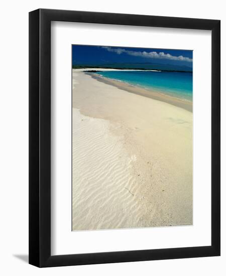 White Sand Beach, San Cristobal Island, Galapagos Islands, Ecuador-Jack Stein Grove-Framed Photographic Print