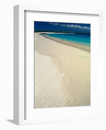 White Sand Beach, San Cristobal Island, Galapagos Islands, Ecuador-Jack Stein Grove-Framed Photographic Print