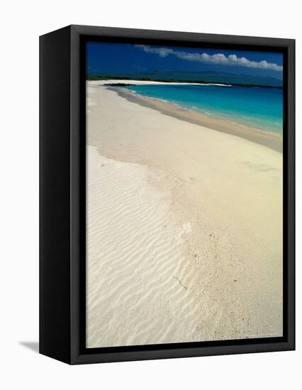 White Sand Beach, San Cristobal Island, Galapagos Islands, Ecuador-Jack Stein Grove-Framed Stretched Canvas