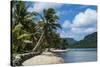 White Sand Beach with Palm Trees-Michael Runkel-Stretched Canvas