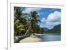 White Sand Beach with Palm Trees-Michael Runkel-Framed Photographic Print
