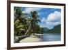 White Sand Beach with Palm Trees-Michael Runkel-Framed Photographic Print