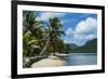 White Sand Beach with Palm Trees-Michael Runkel-Framed Photographic Print