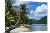 White Sand Beach with Palm Trees-Michael Runkel-Mounted Photographic Print