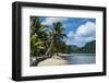 White Sand Beach with Palm Trees-Michael Runkel-Framed Photographic Print