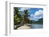 White Sand Beach with Palm Trees-Michael Runkel-Framed Photographic Print