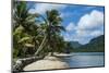 White Sand Beach with Palm Trees-Michael Runkel-Mounted Photographic Print