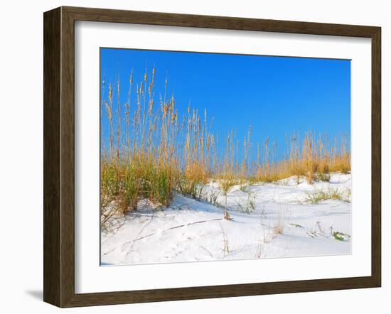 White Sand Dunes along Florida's Gulf Coast-James Kirkikis-Framed Photographic Print